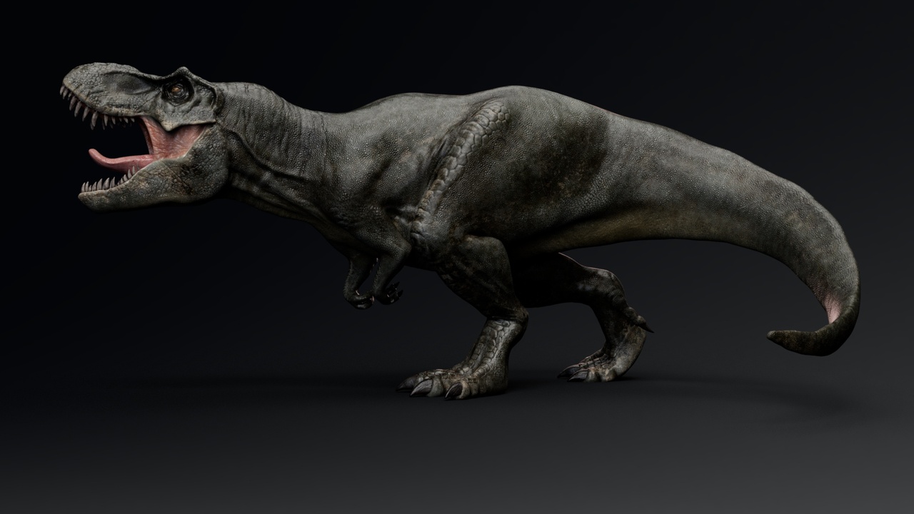 Media 1 for listing Dinosaur Tyrannosaurus Rex Stan