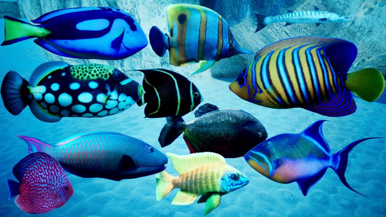 Media 1 for listing Fish Schooling VFX Pack — 11 Species, Vertex Anim | Underwater FX | UE5