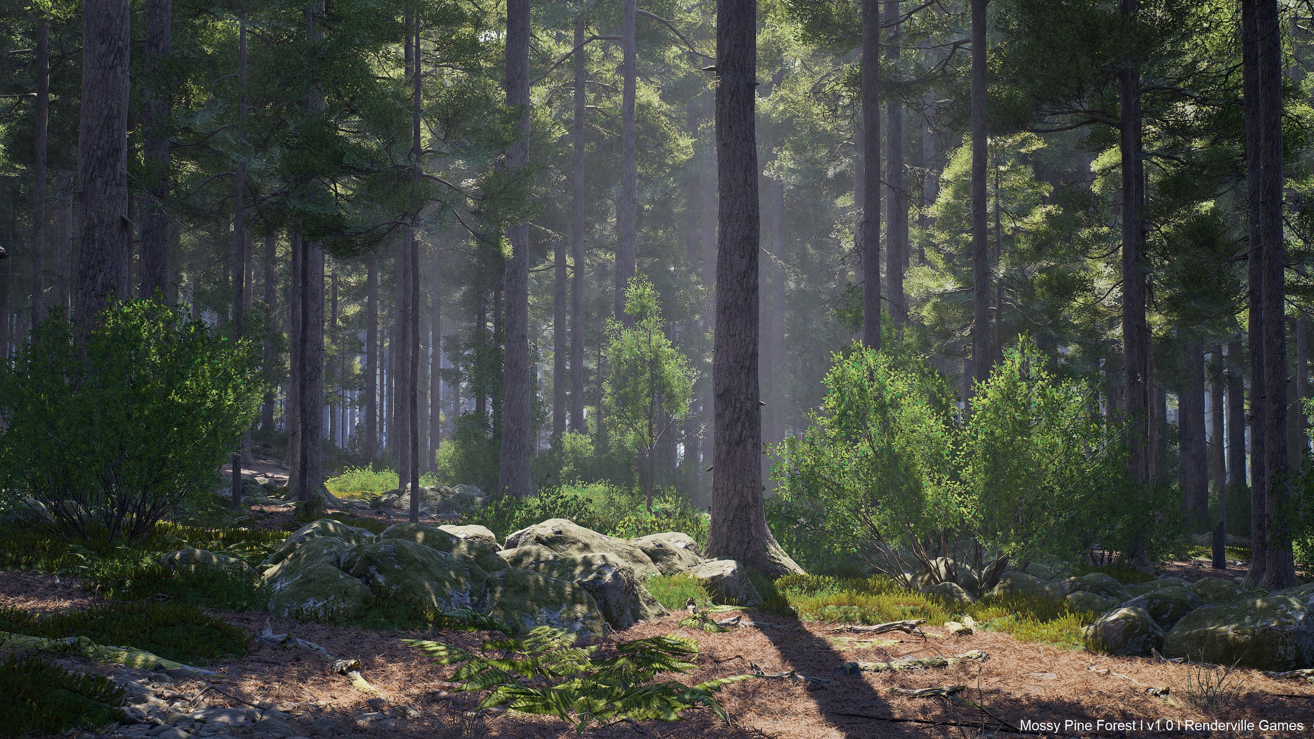 Media 1 for listing Mossy Pine Forest