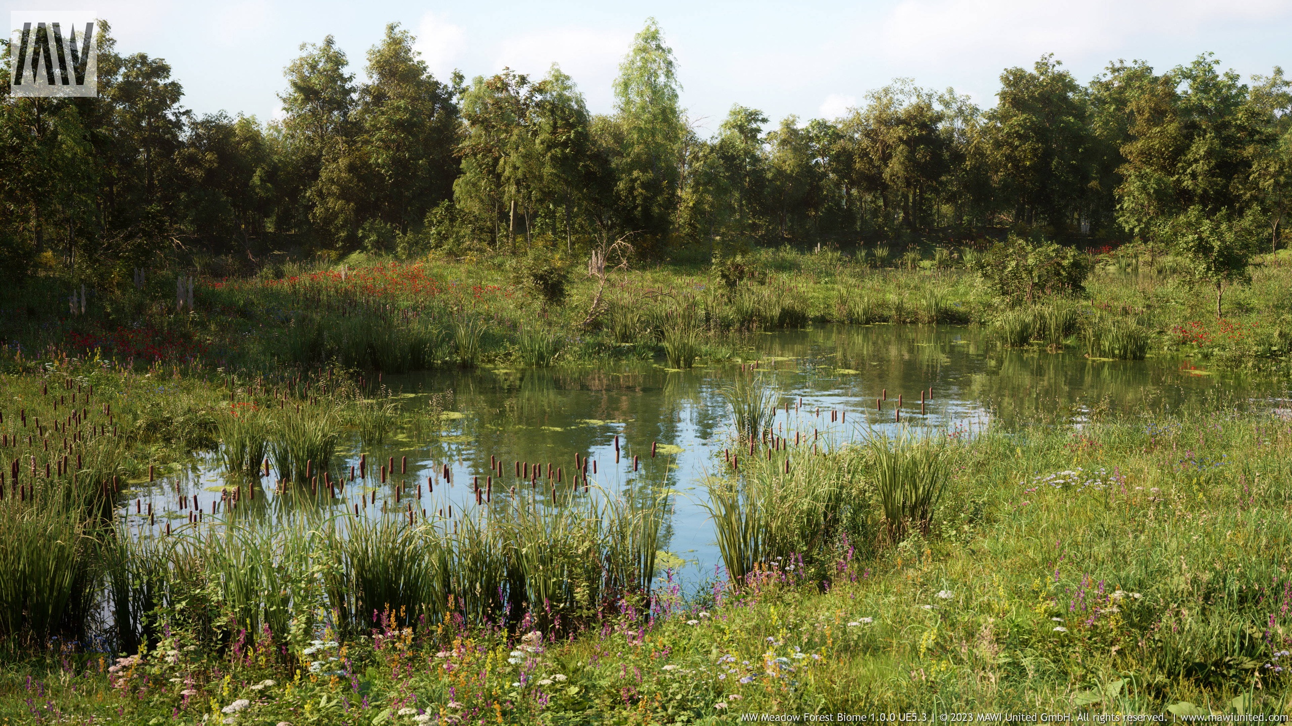 Media 1 for listing MW Meadow Forest Trees Biome