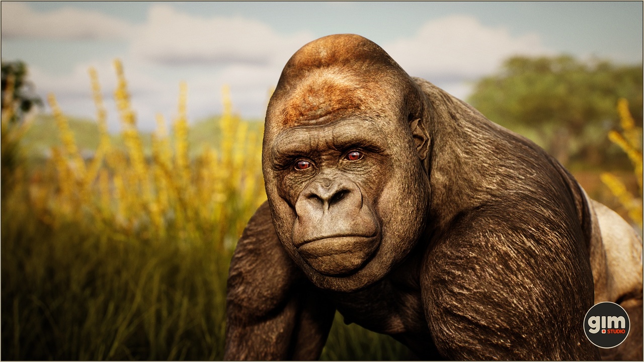 Media 1 for listing Animalia - Gorilla (male)