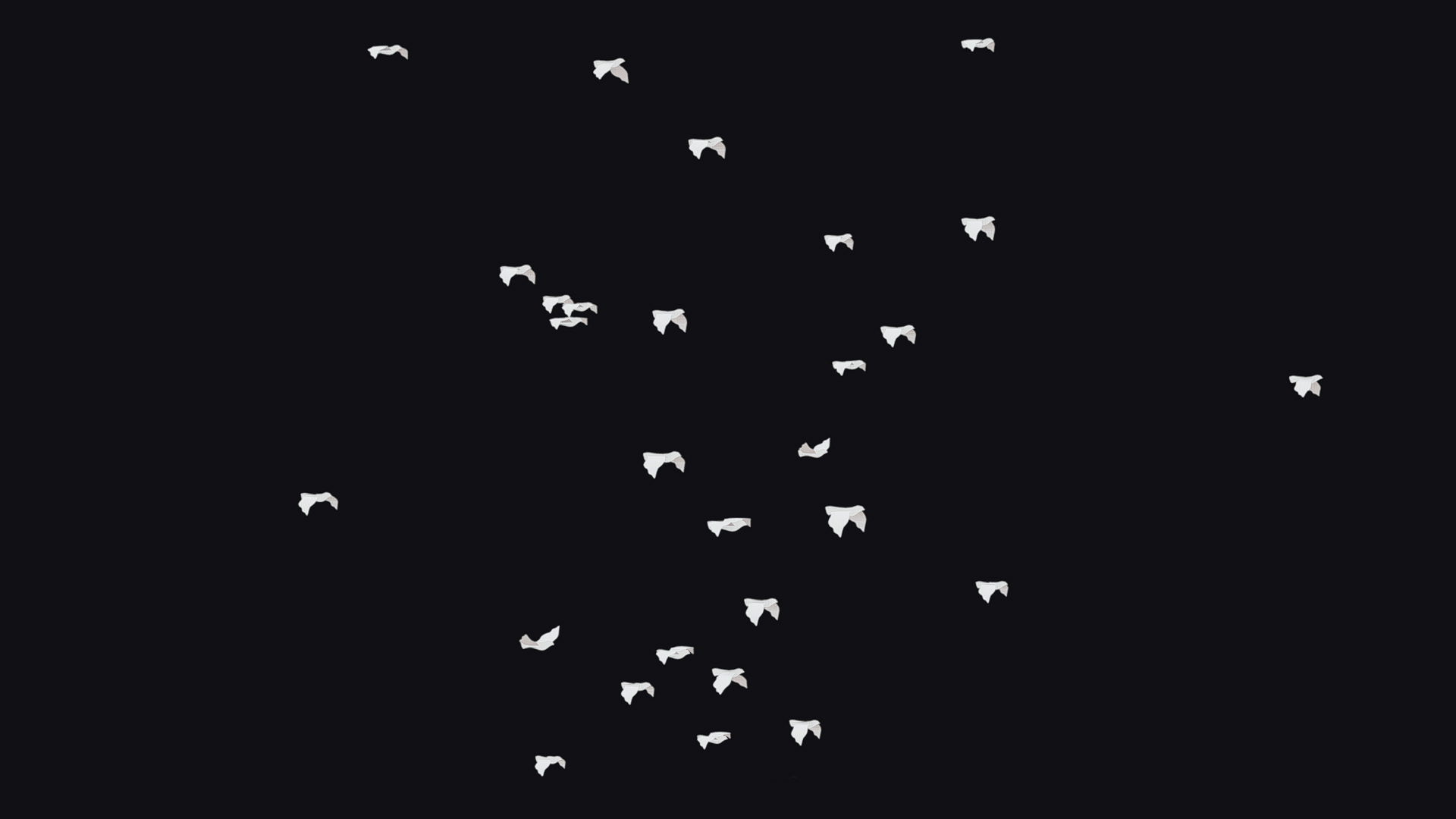 Flock White Bird Animated Swarm Dove Shoal Birds Seagull | Fab