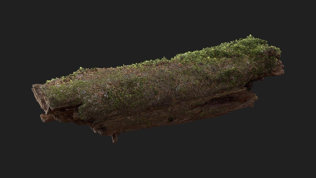 Media 1 for listing Mossy Log