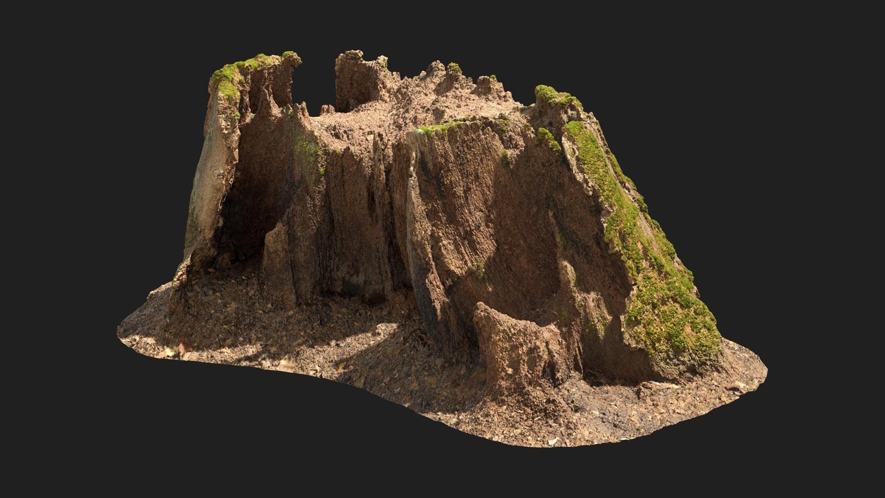 Old Tree Stump | Fab