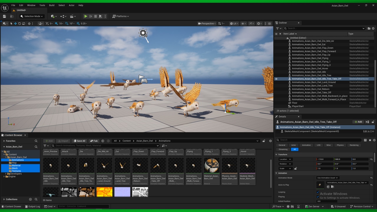 Media 1 for listing Asian Barn Owl Bird