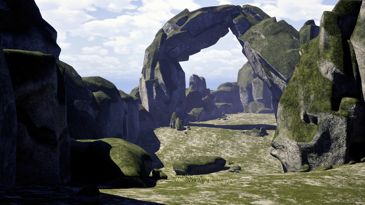 Media 1 for listing Snowy & Mossy Rock Pack