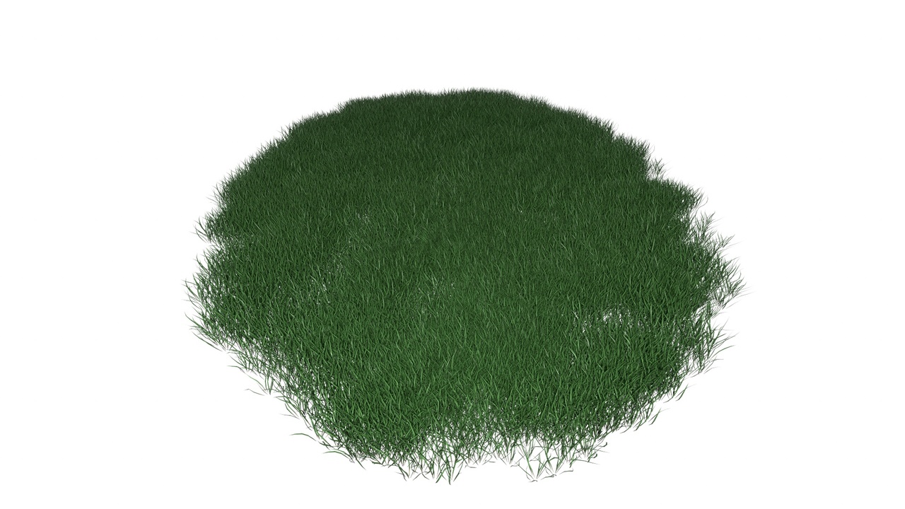 Media 1 for listing Lawn Grass Model for Exteriors
