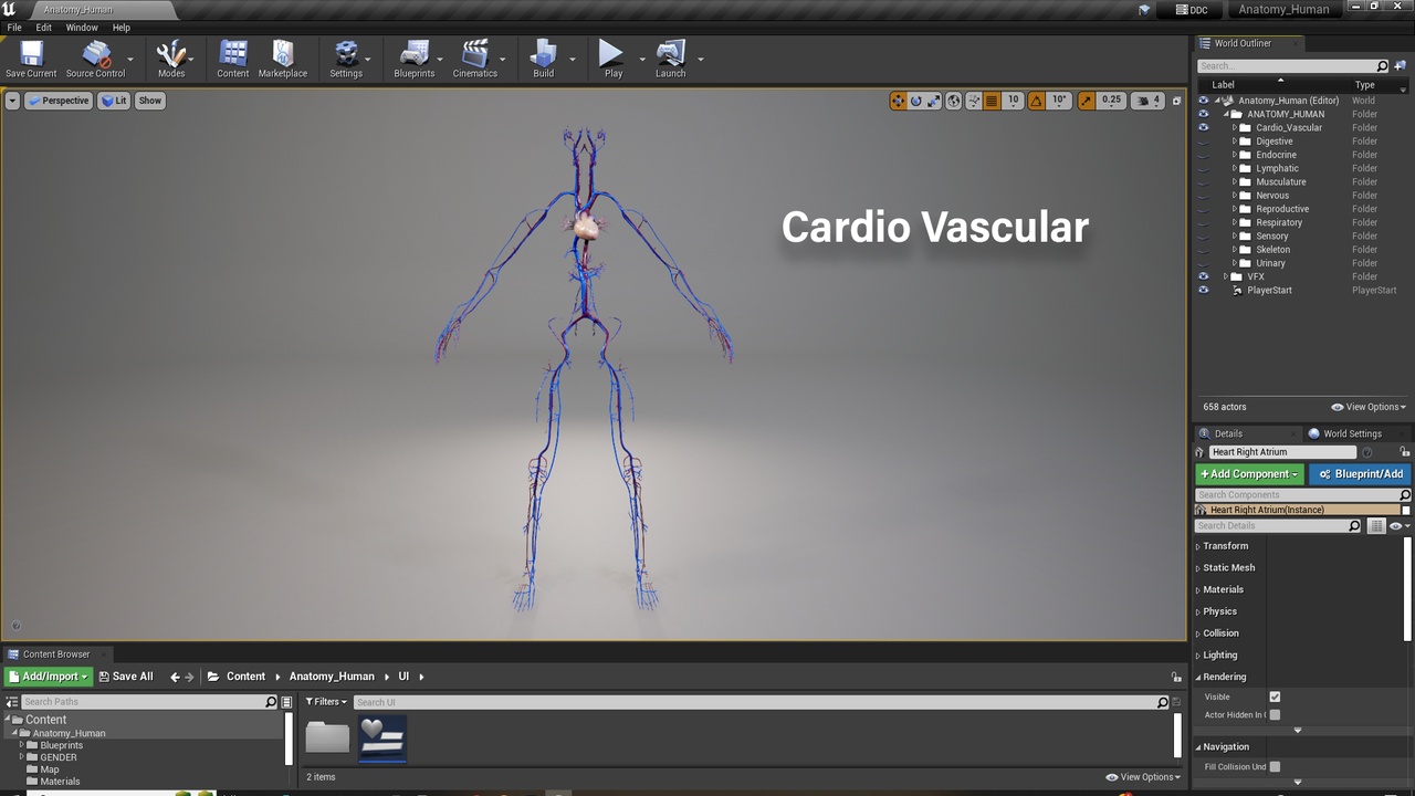 出品ANATOMY HUMAN (INTERACTIVE)のメディア1