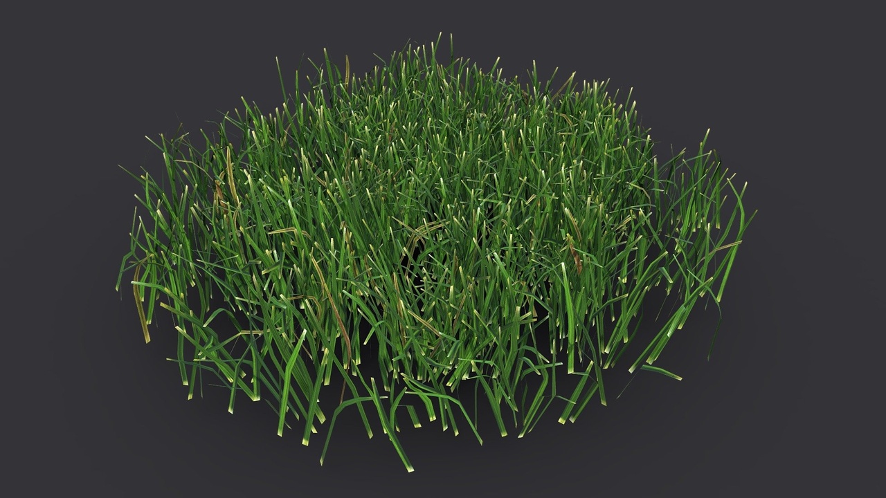 Média 1 pour l'article Dense Grass Patch