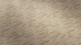 Asset image