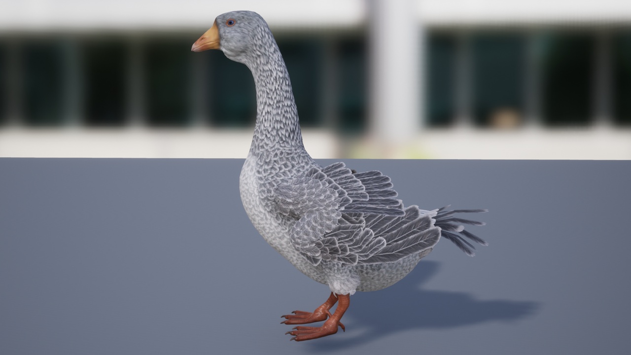 Media 1 for listing Goose basic