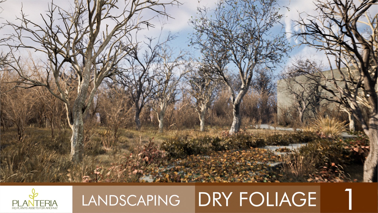出品Landscaping Dry Foliage 1のメディア1