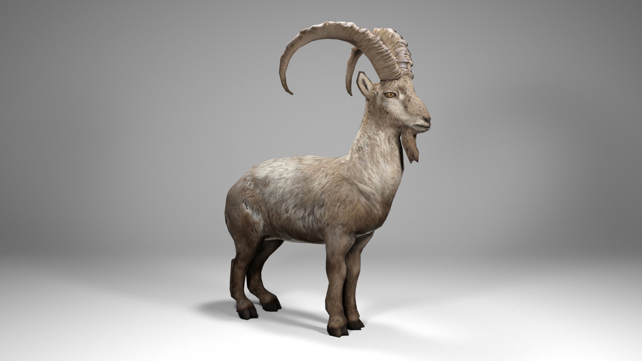 Alpine Ibex 제품 등록을 위한 미디어 1개