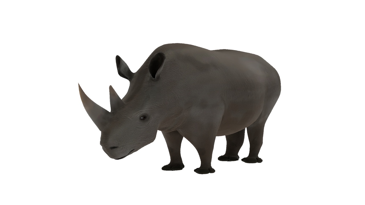 Media 1 for listing Rhinoceros 3D Model Rigged and Animated