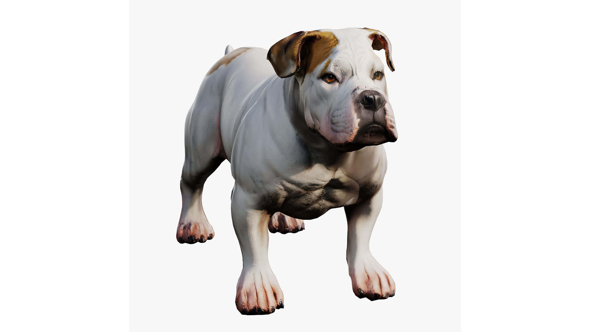 Bulldog | Fab