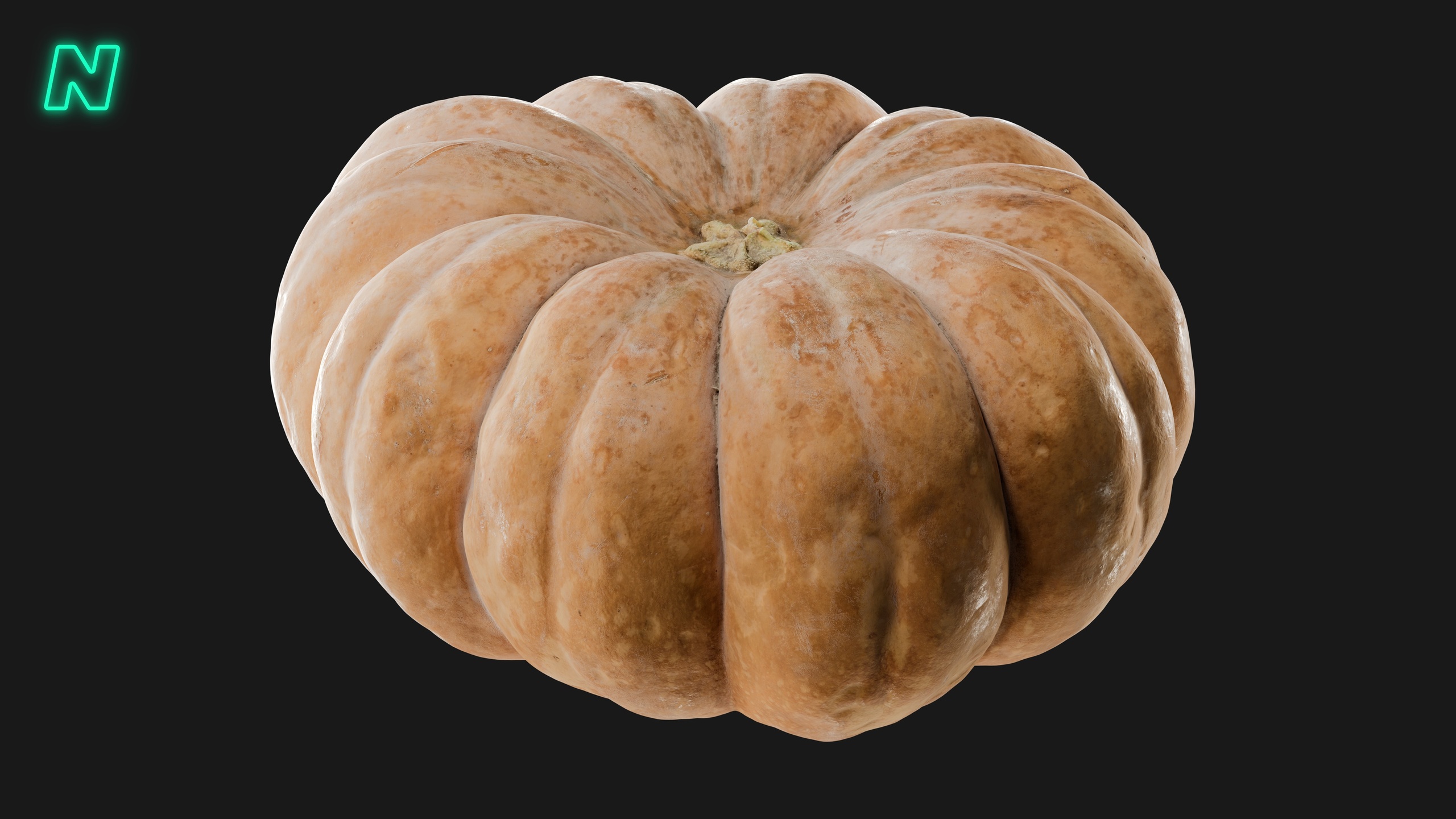 Media 1 for listing Pumpkin 06 - Musquée de Provence Squash