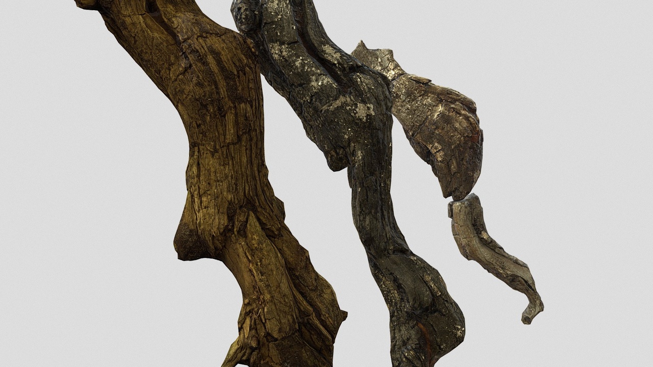 Media 1 for listing burned wooden stick