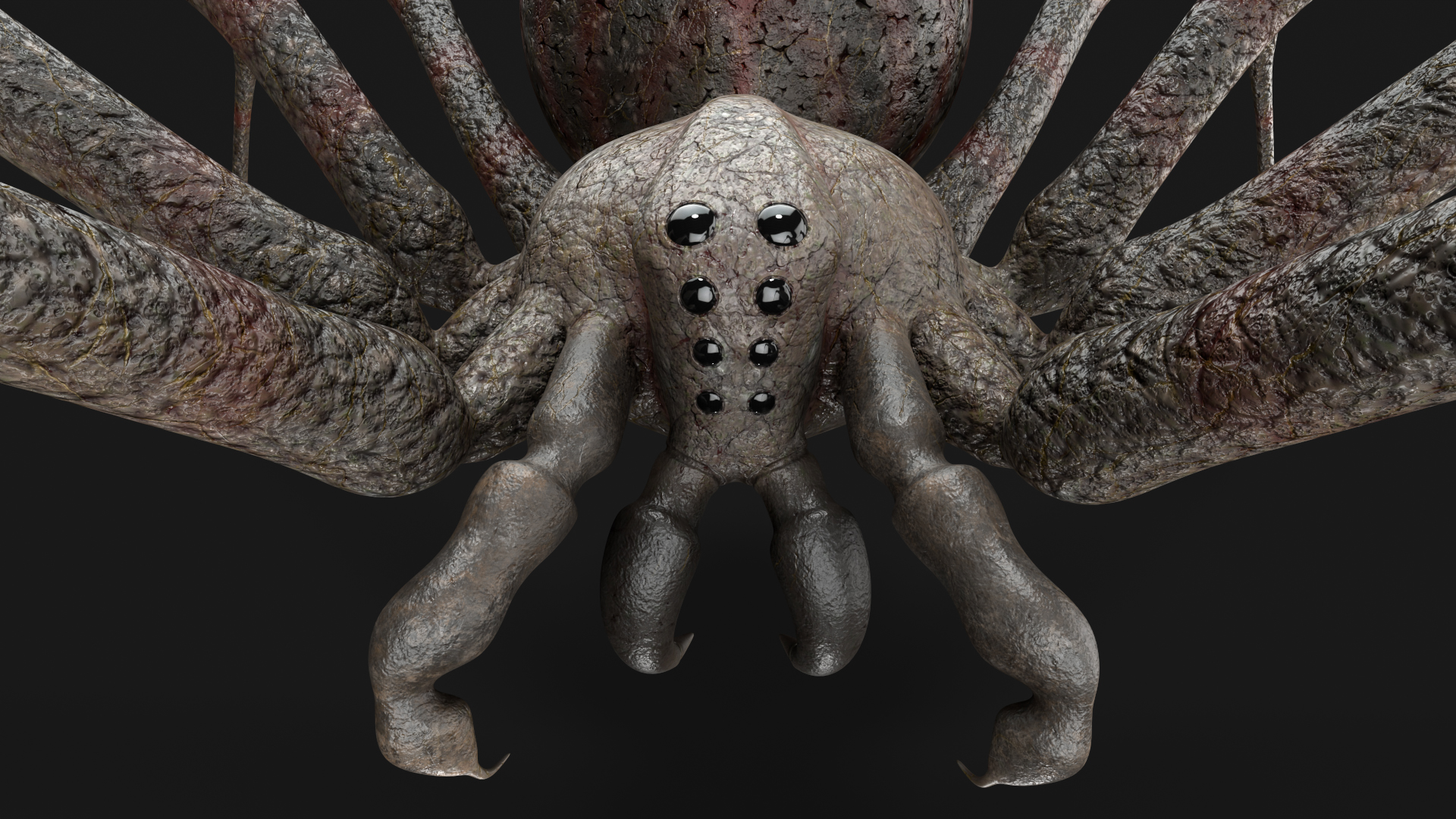 Spider | Fab