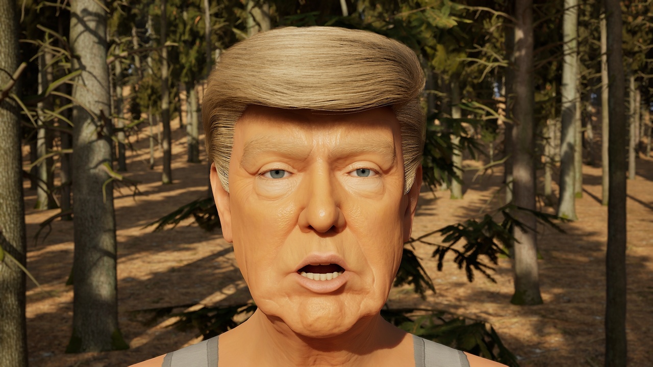 Media 1 for listing Metahuman - Donald Trump