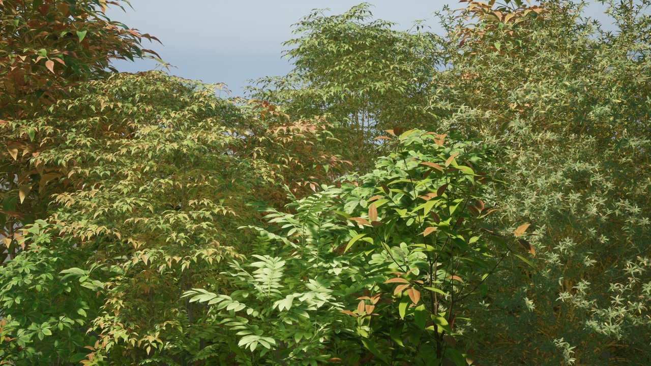 Media 1 for listing Landscape trees V1
