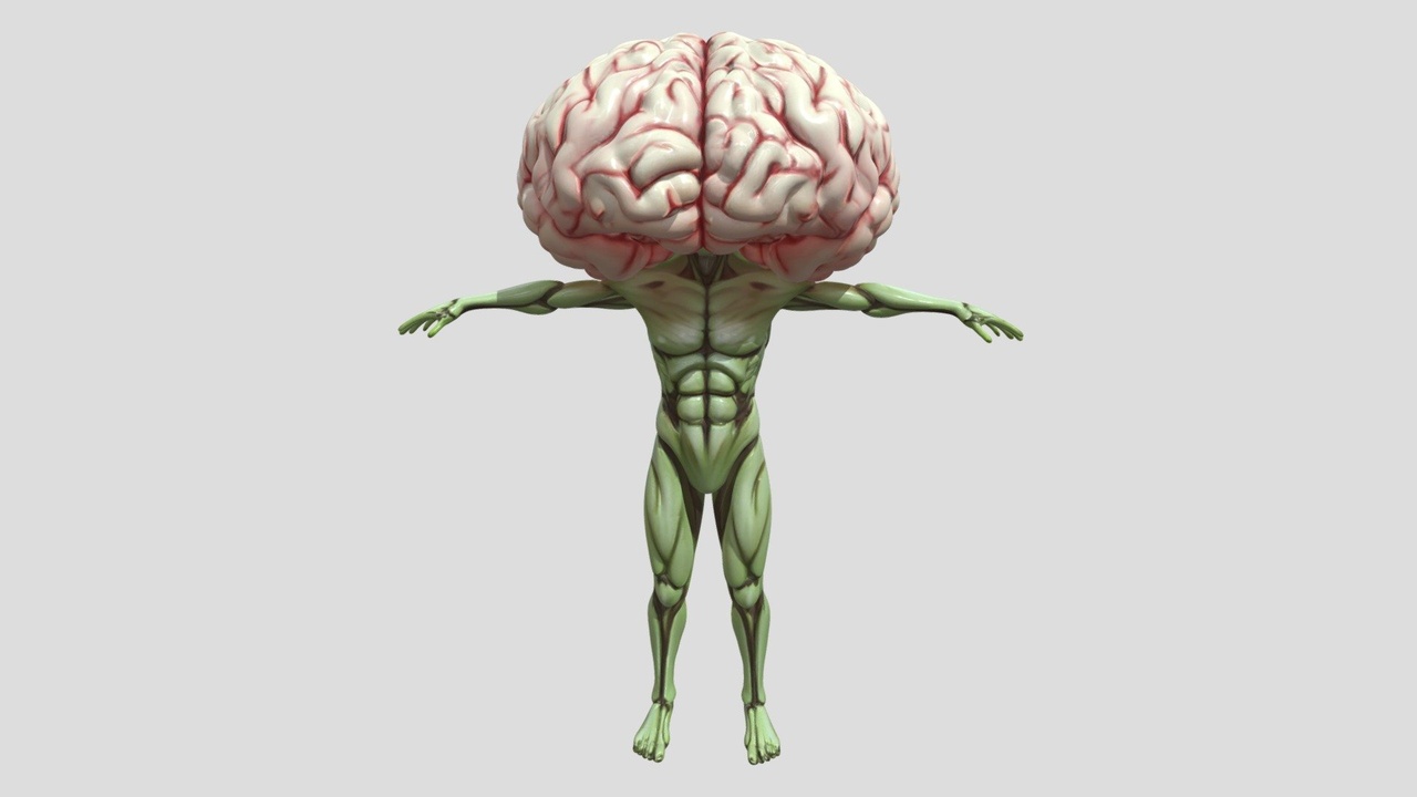 Media 1 for listing Brainhead