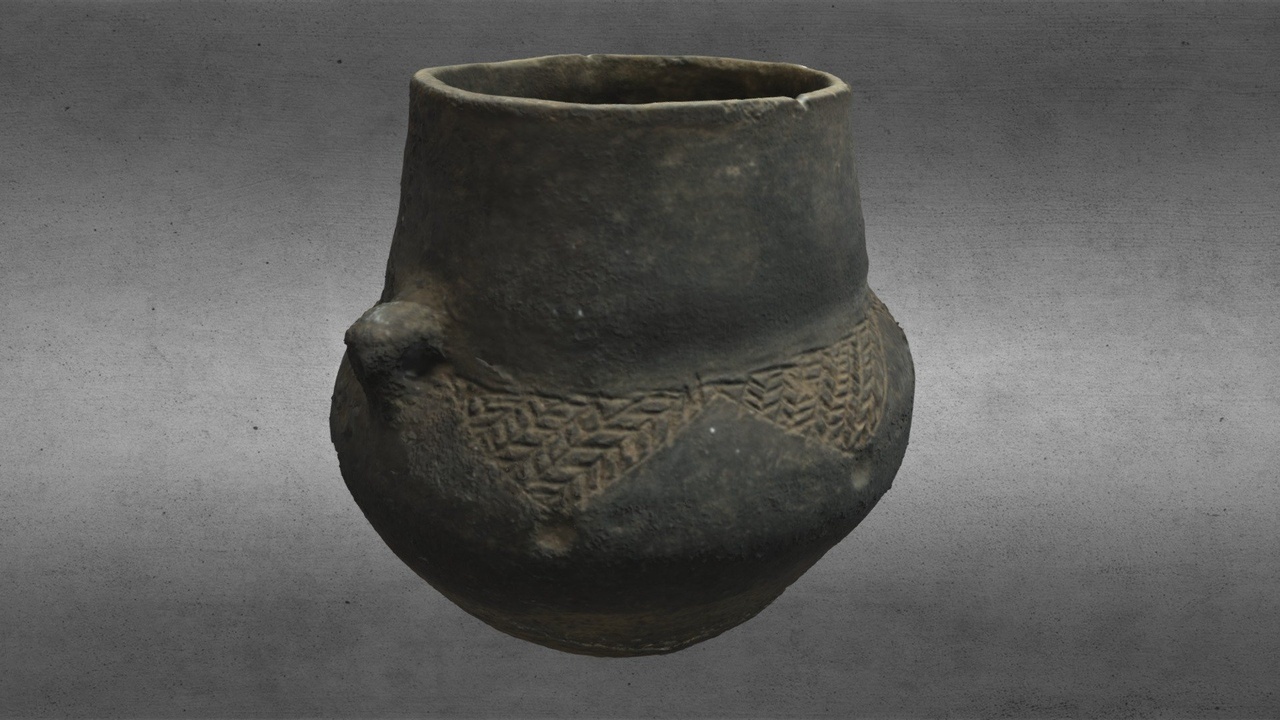Media 1 for listing Black amphora of the Lusatian culture.