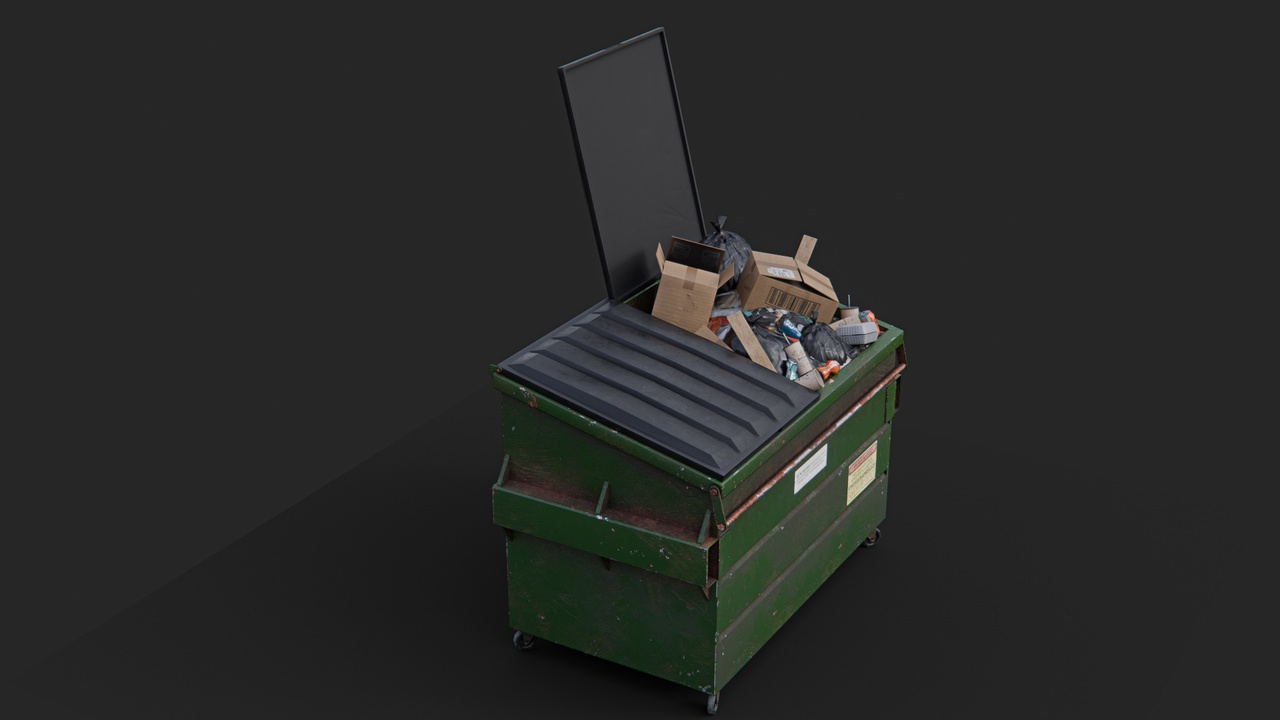 Media 1 for listing Overfilled Garbage Dumpster