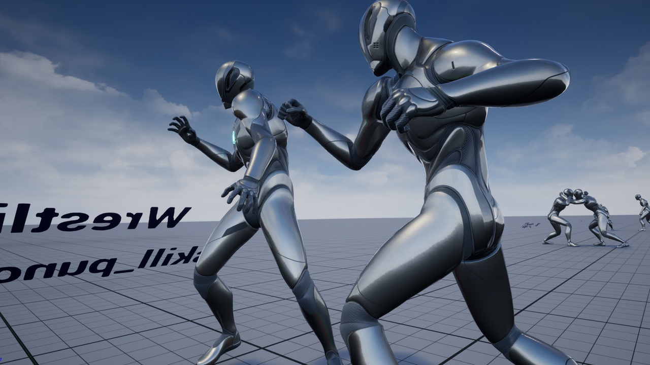 Media 1 for listing Wrestling Finisher Animset