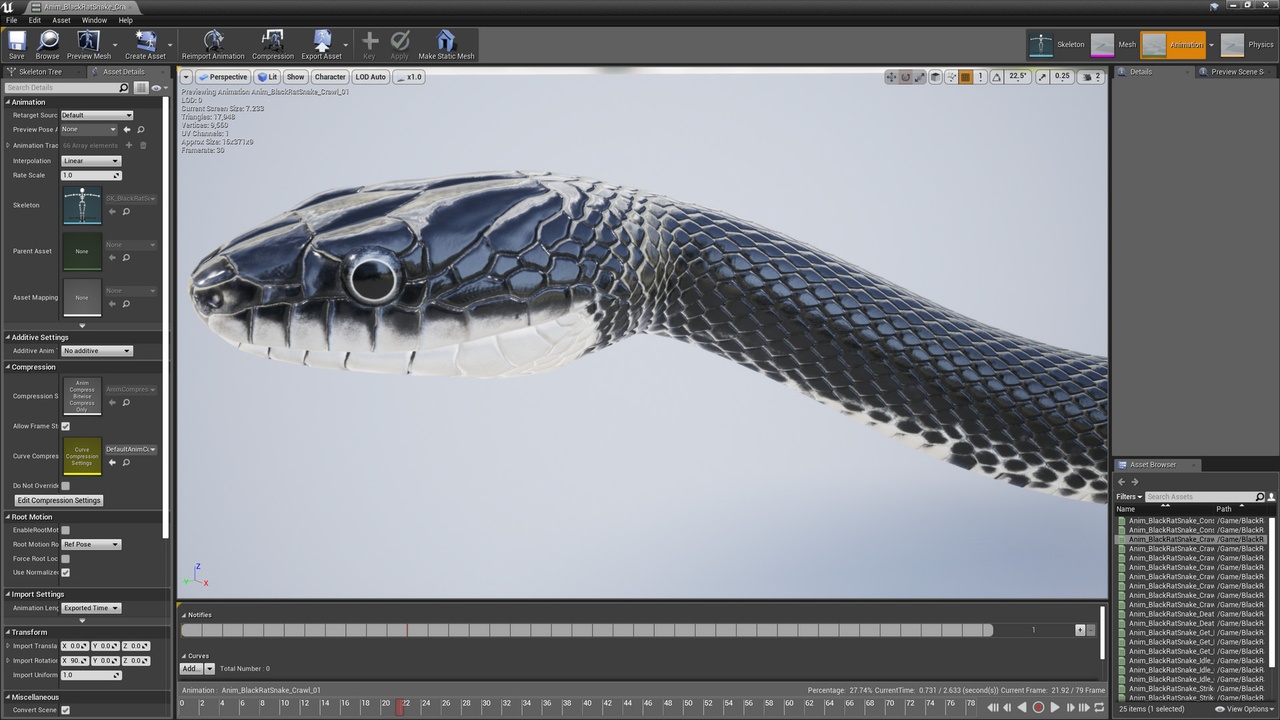 Media 1 for listing Black Rat Snake