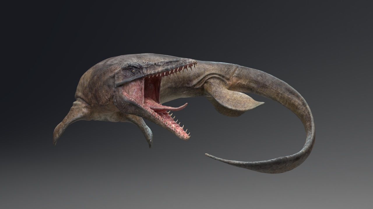 Tylosaurus - Sea Monster Series 3 제품 등록을 위한 미디어 1개