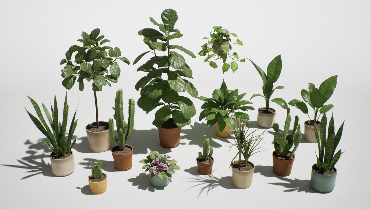 Media 1 for listing Houseplants
