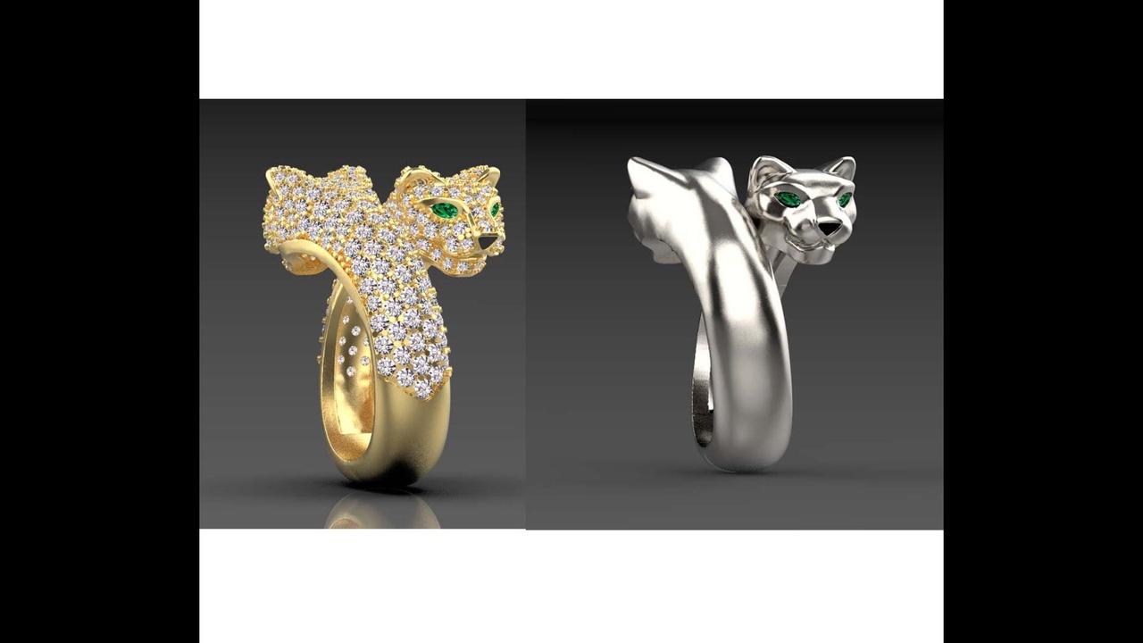 Media 1 for listing Ring panther