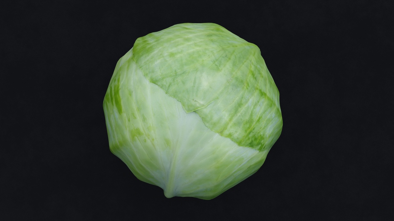 Cabbage | Fab