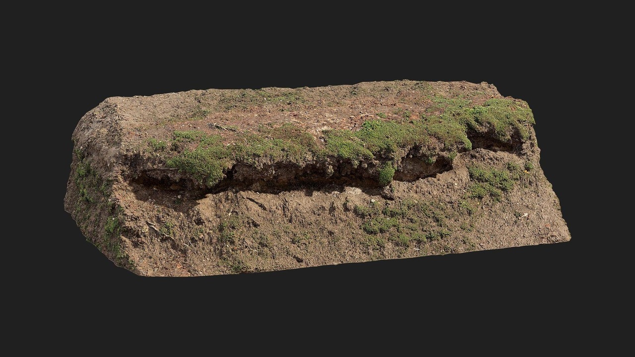 Media 1 for listing Forest European Broadleaf Embankment Riverbed M 05