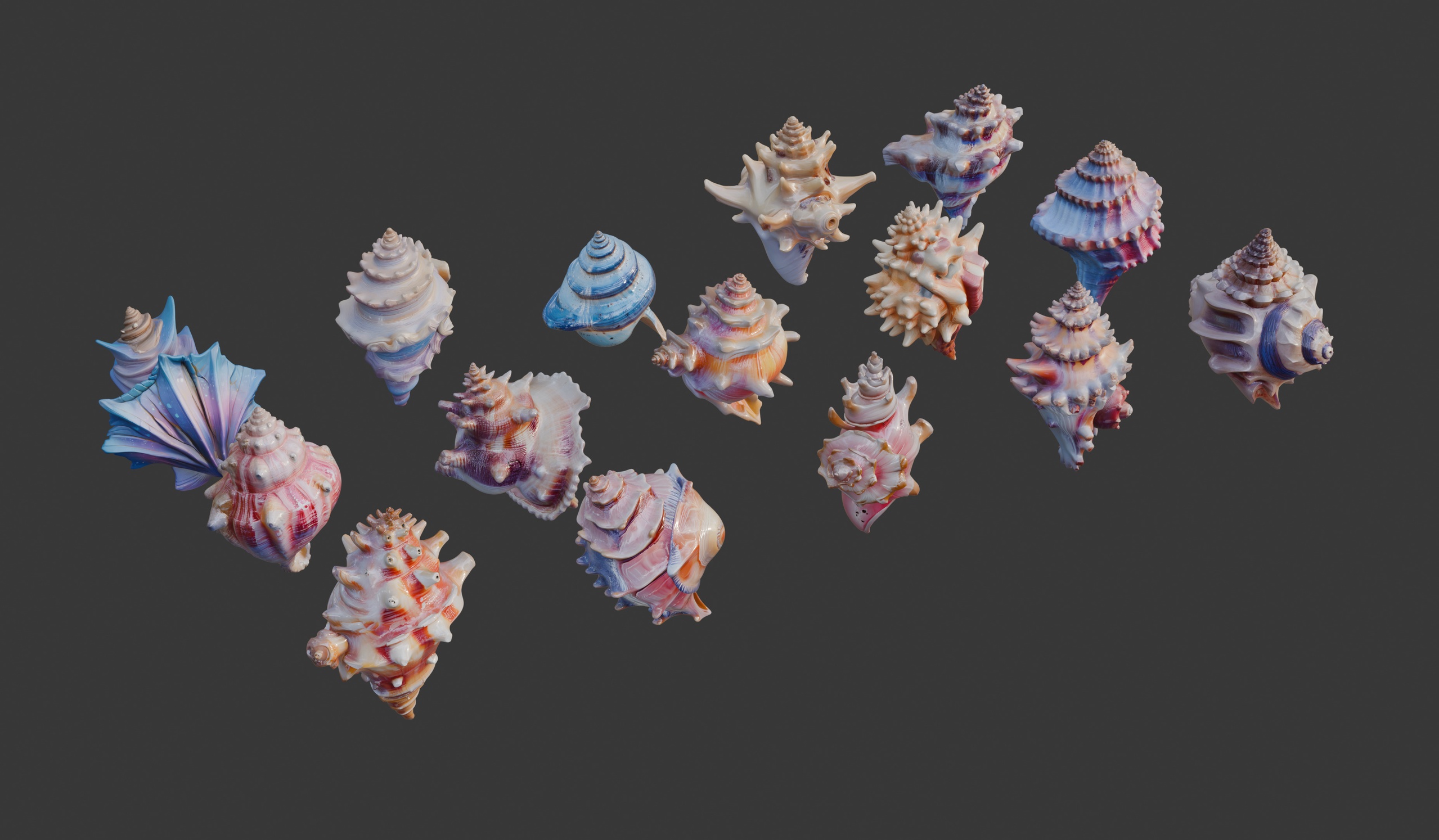 Media 1 for listing Seashells
