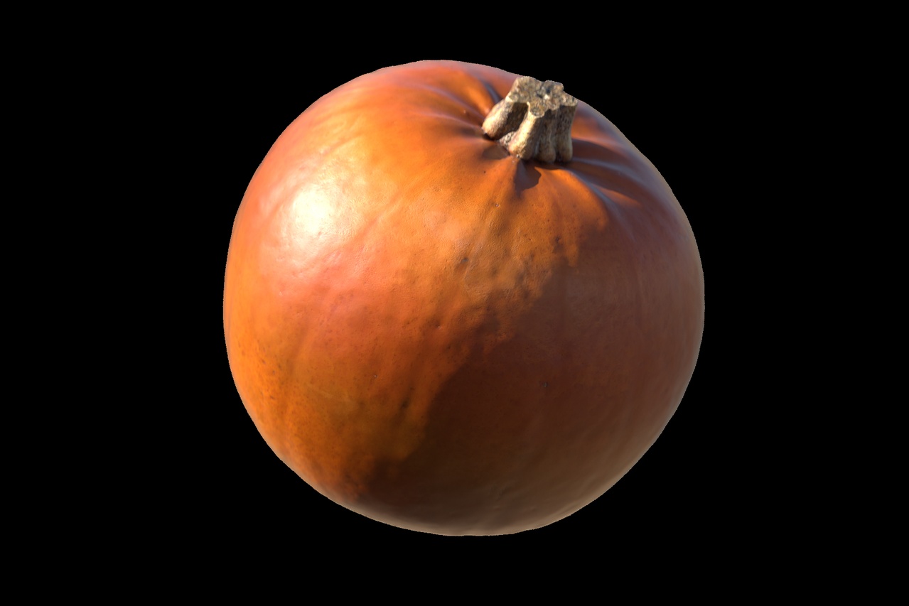 Media 1 for listing Orange Pumpkin