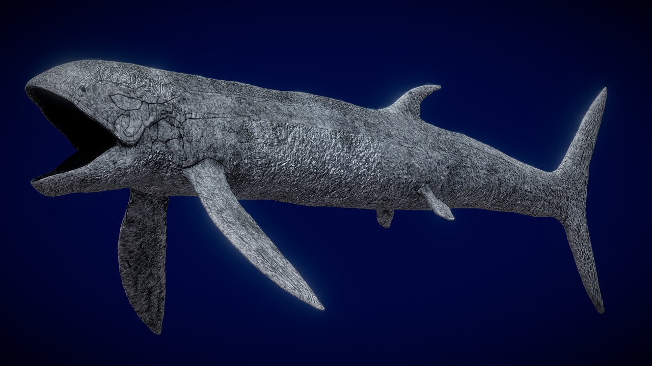 Media 1 for listing Animated Leedsichthys