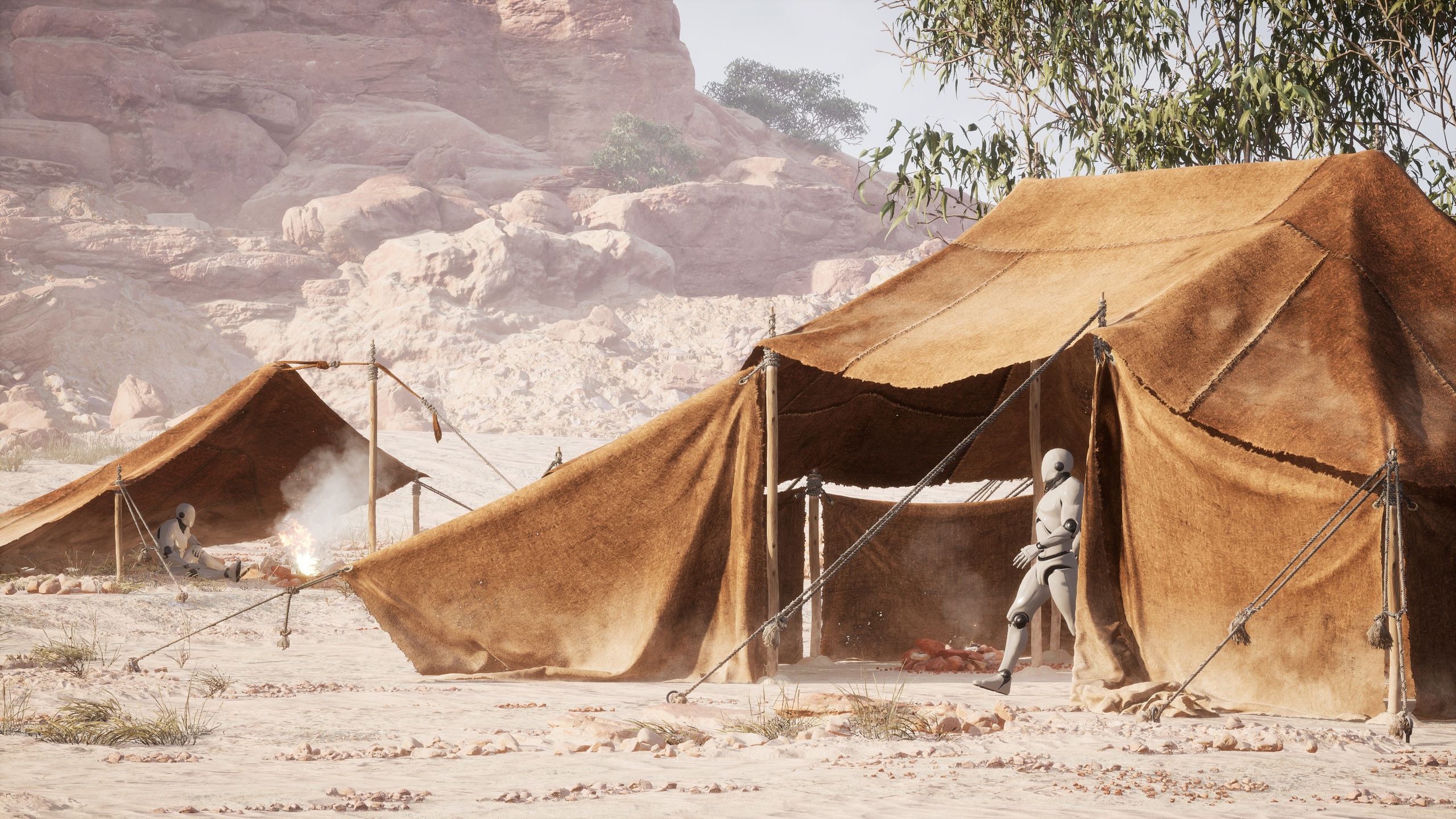 Media 1 for listing Desert Camp. Tents