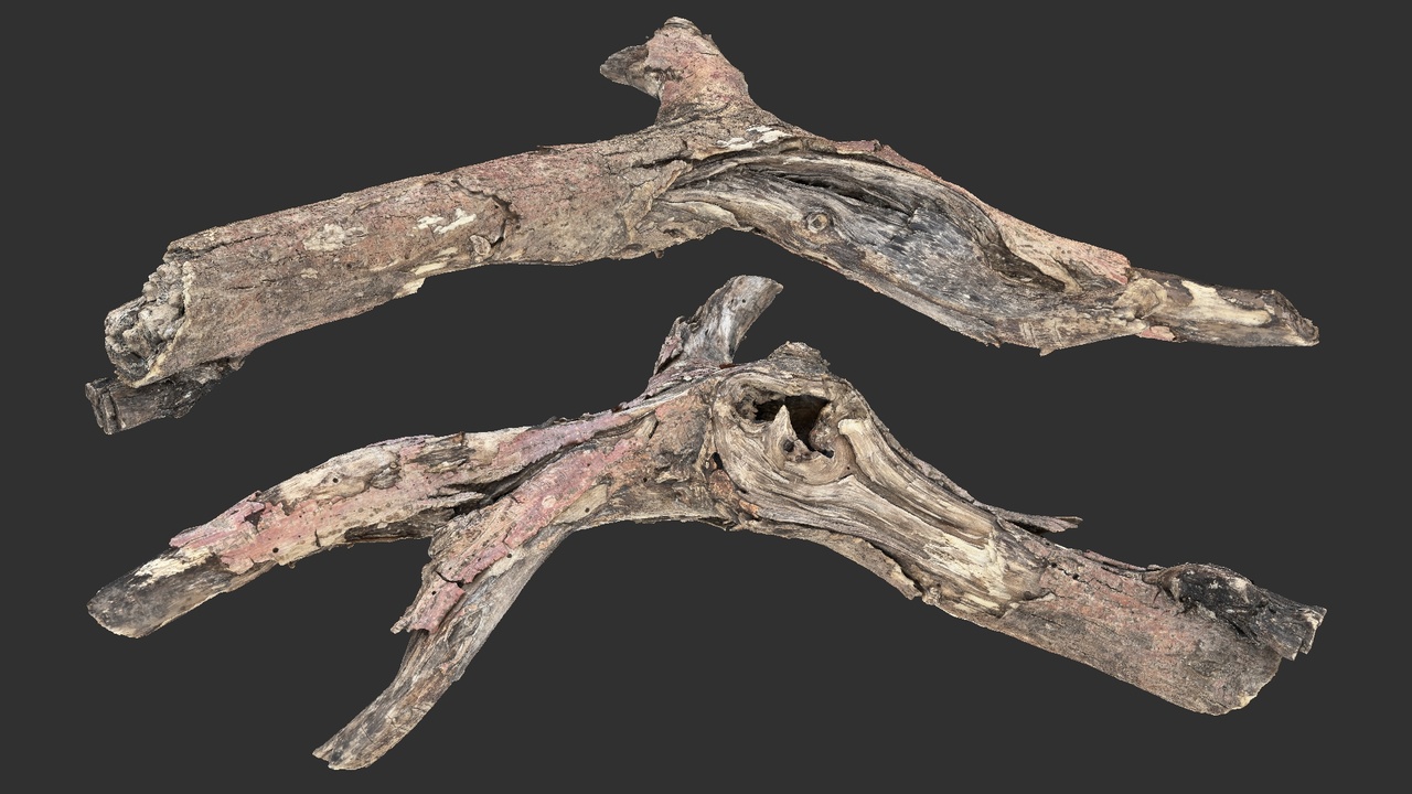 Media 1 for listing Realistic Tree Branch Wood Trunk 3D Scan highpoly