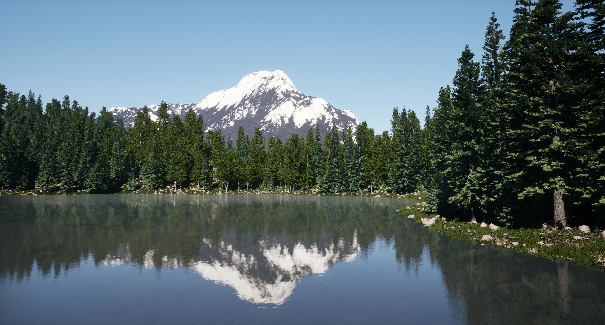 Media 1 for listing Pro Trees and Forests