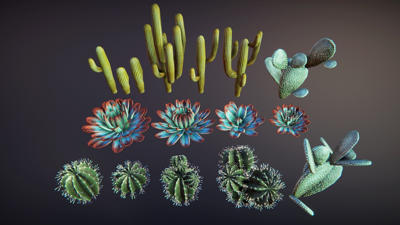 Media 1 for listing Cacti