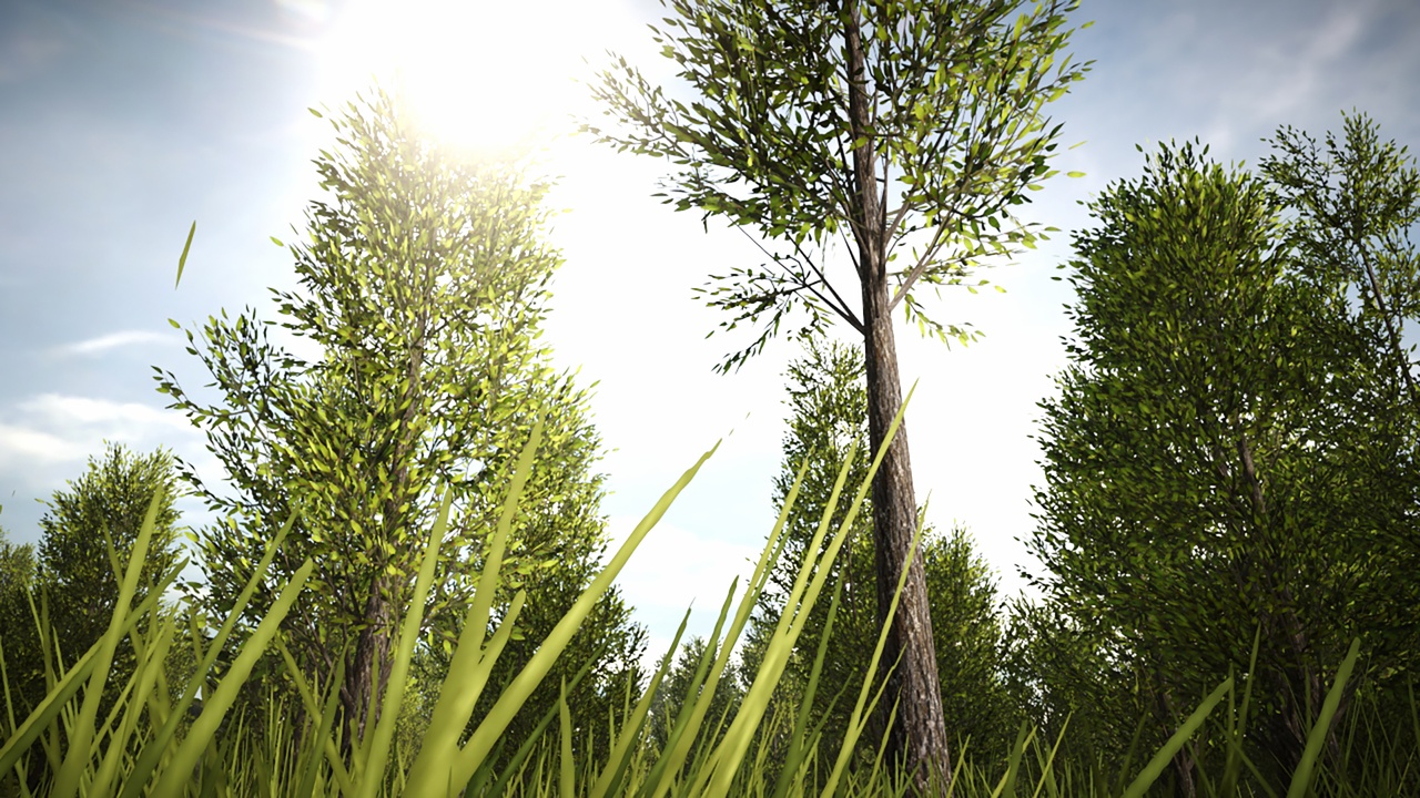 Media 1 for listing Desktop Trees Pack 46 (PC/Console)