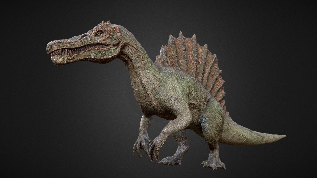 Media 1 for listing Spinosaurus | Spino Dinosaur