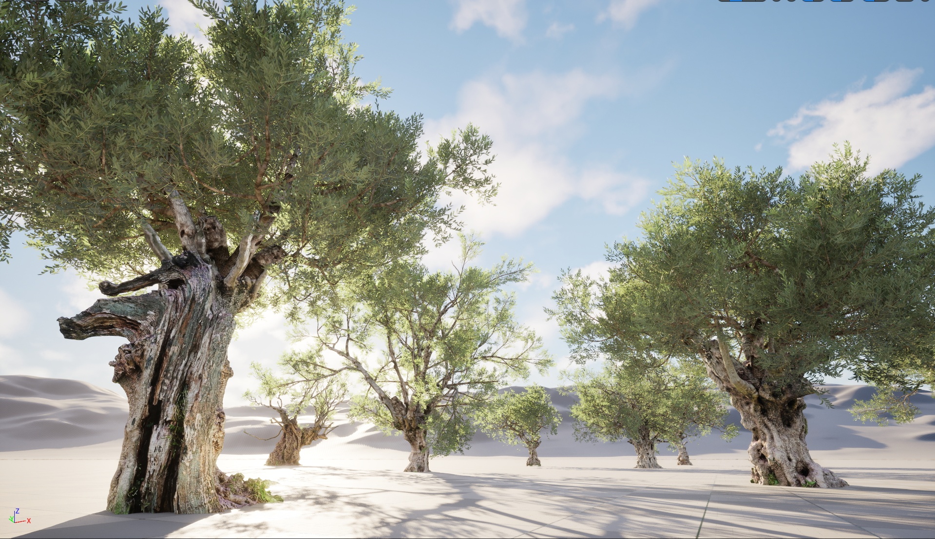Media 1 for listing Nanite Wind Plants - Scanned Olea europaea - Common olive pack