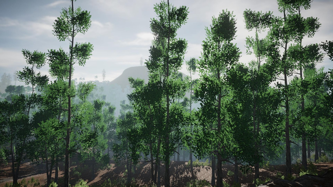 Media 1 for listing Desktop Trees Pack 30 (PC/Console)
