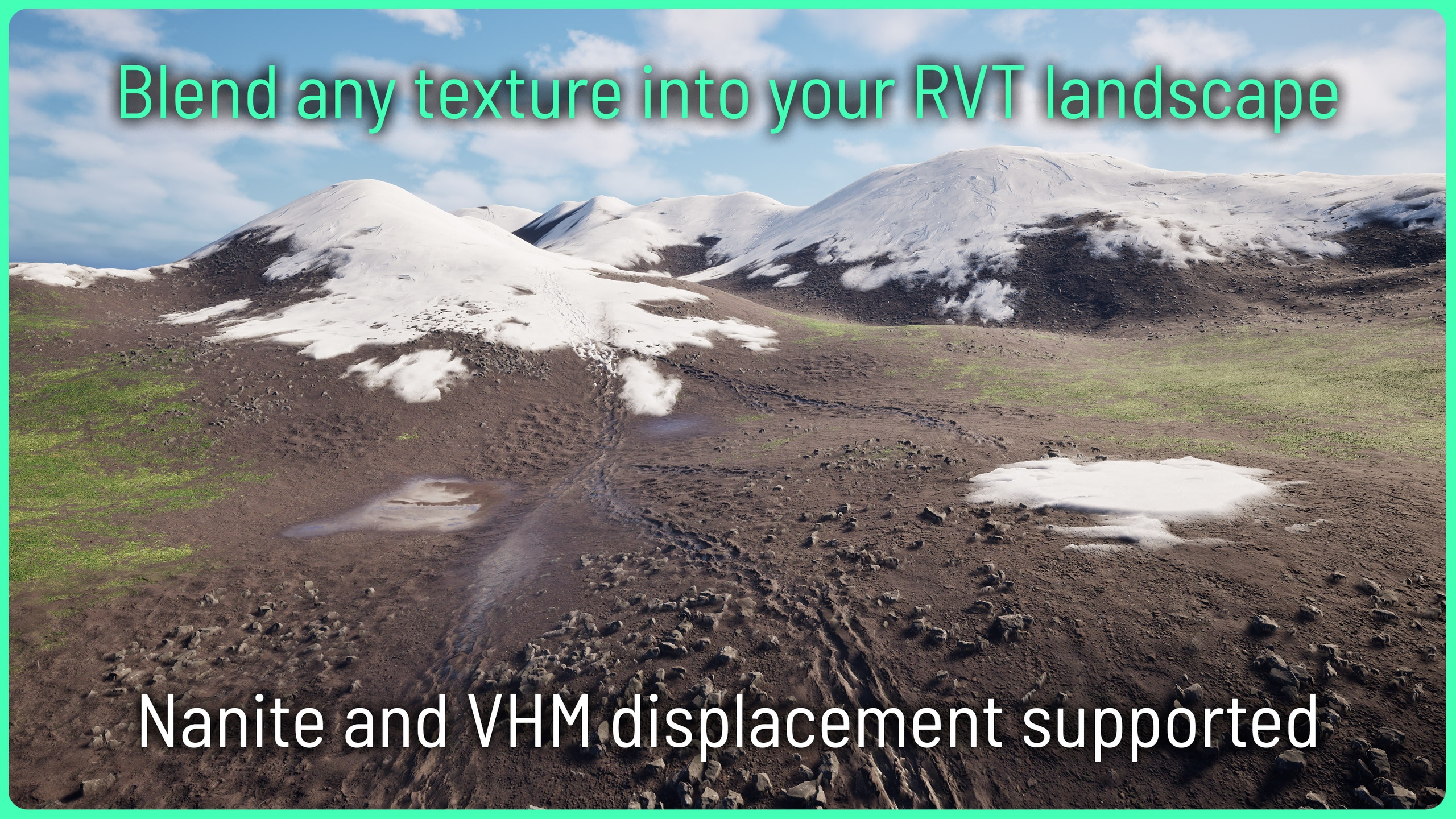 Media 1 for listing Advanced RVT Decals
