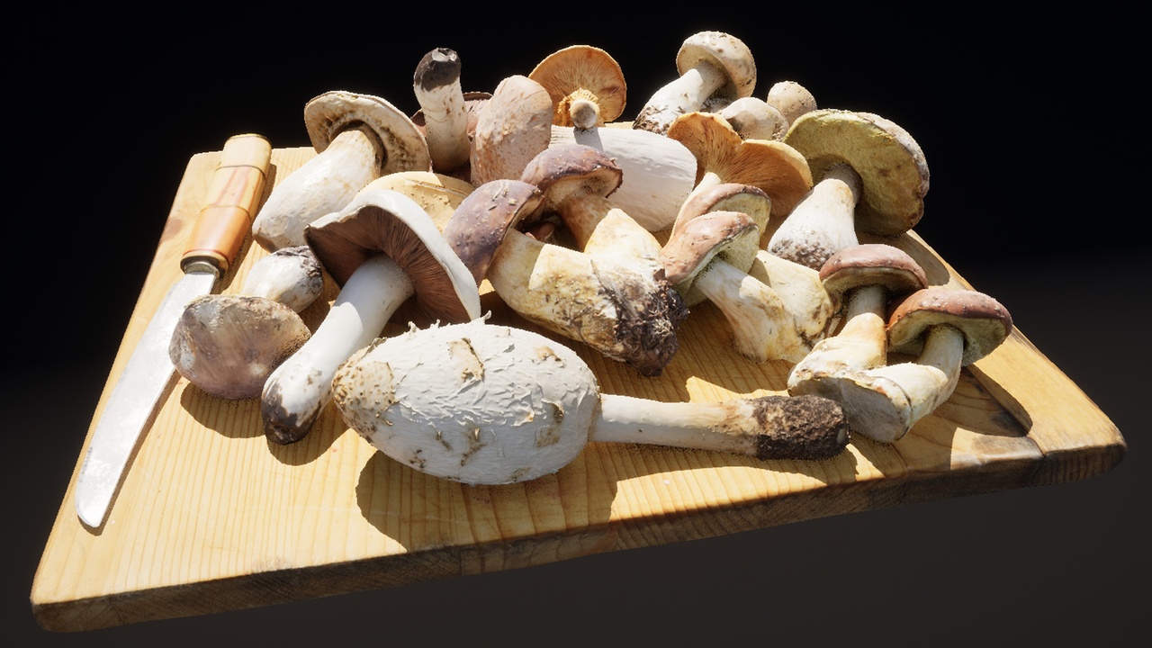 出品Mushrooms Setのメディア1