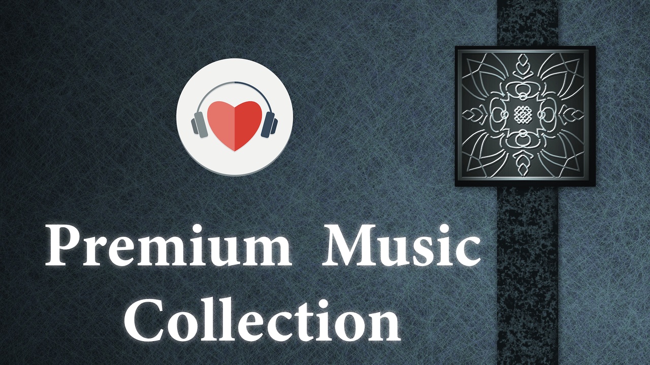 Media 1 for listing Music Collection (bundle)