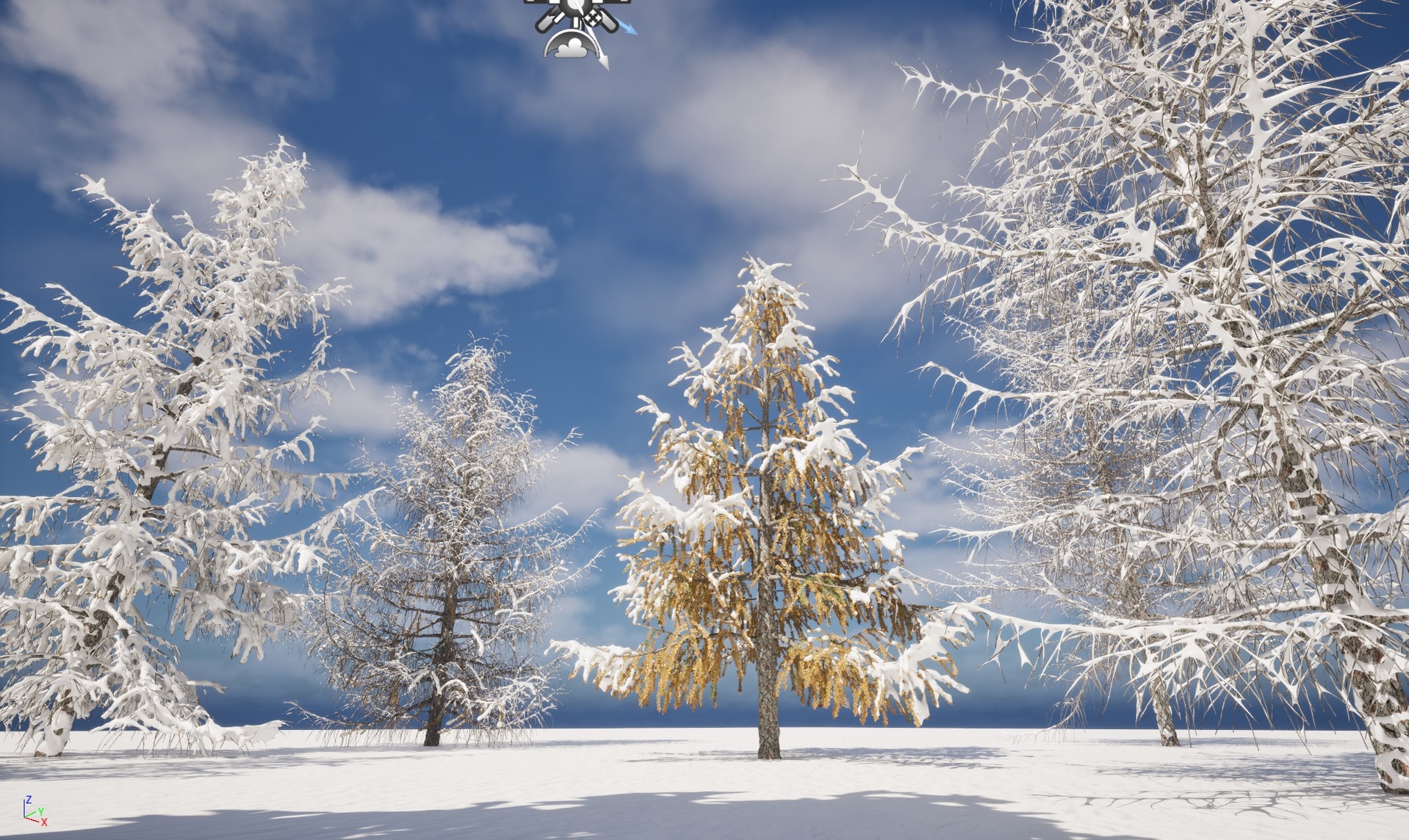 Media 1 for listing Winter Snow Plants - Larix decidua – European larch