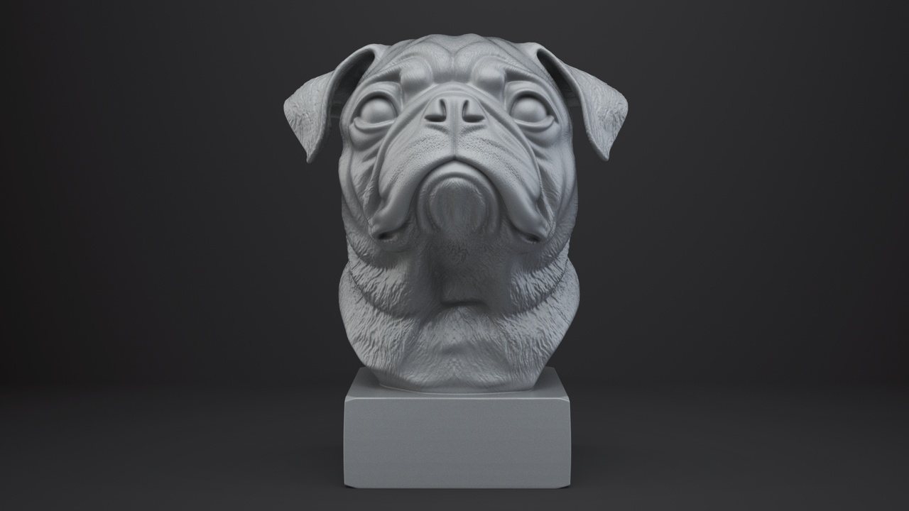 Media 1 for listing Pug Dog Bust